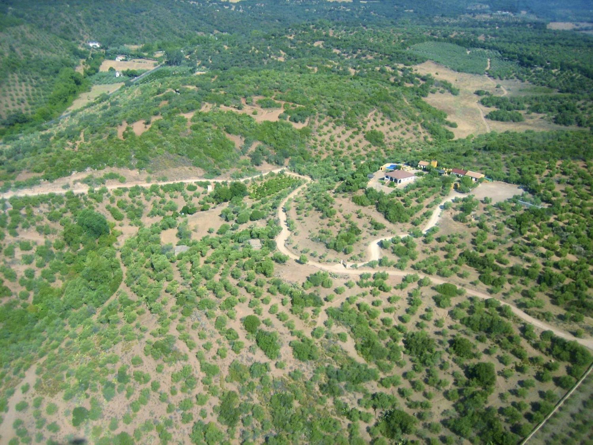 Complejo Rural Mirador De La Alcaidia Villa Hornachuelos Buitenkant foto
